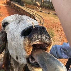 Meet your Posher, Andrea